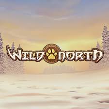 Wild North von Play'n GO – Bewertung